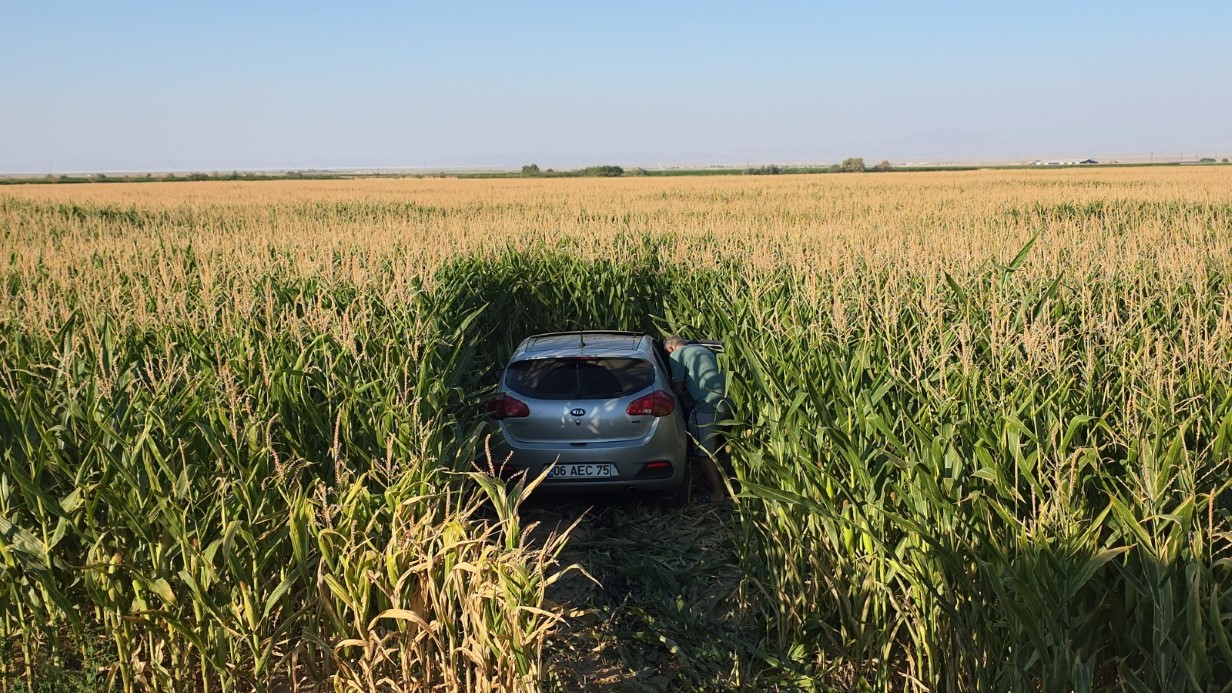 Aksaray’da kazada iki otomobil mısır tarlasına savruldu: 7 yaralı