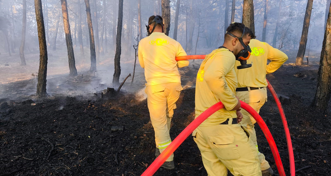 Küle dönen 20 hektar ormanda, soğutma çalışması sürüyor
