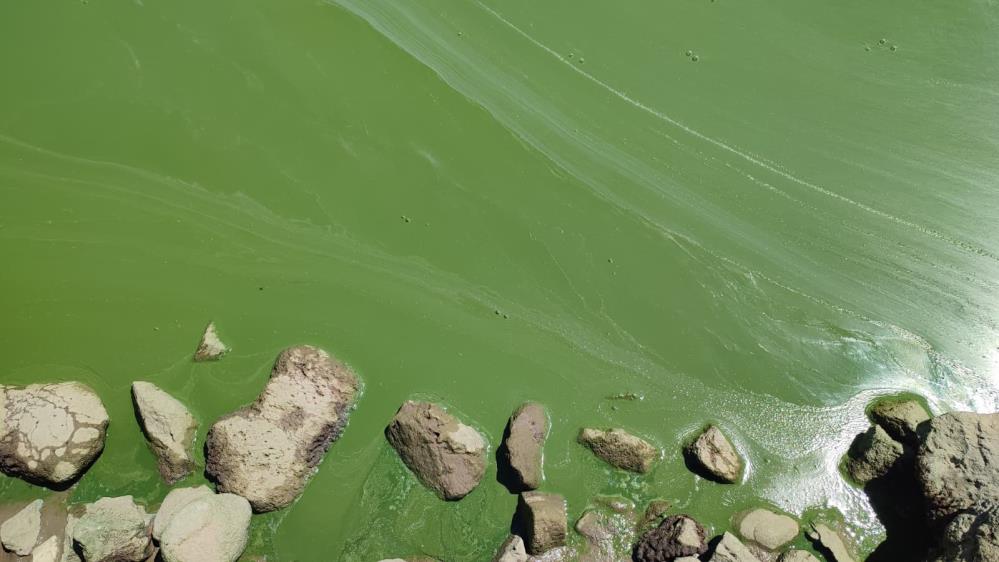 Ankara’da kuraklık alarmı: Barajlarda suların azalmasıyla eski yerleşim yerleri gün yüzüne çıktı