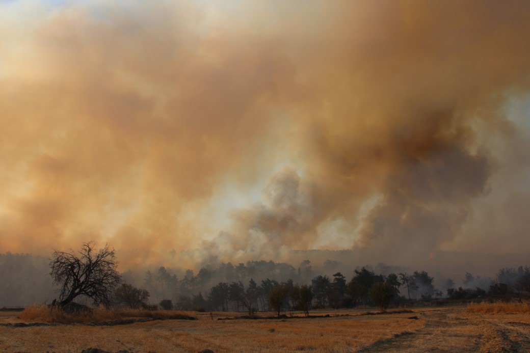 Çanakkale’deki yangında 126 vatandaş tahliye edildi