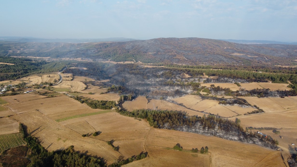 Gelibolu’da çıkan orman yangınının verdiği tahribat dron ile görüntülendi