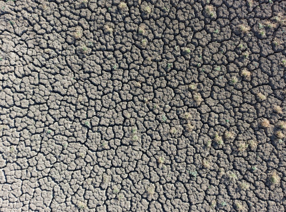 Sular çekildi, kuraklık göleti çorak araziye dönüştürdü