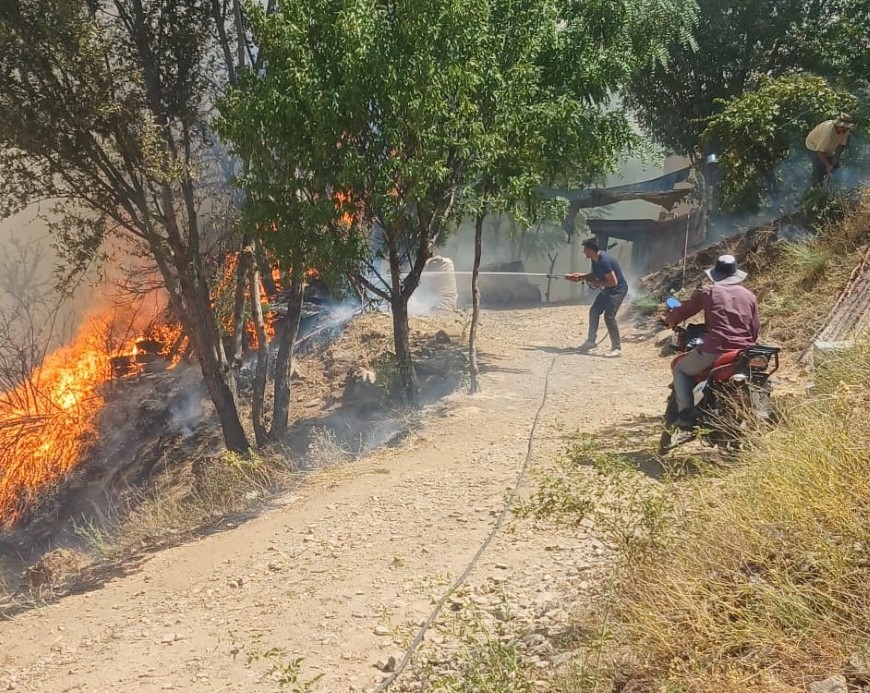 Malatya’nın Doğanyol ilçesinde orman yangını: Müdahale sürüyor