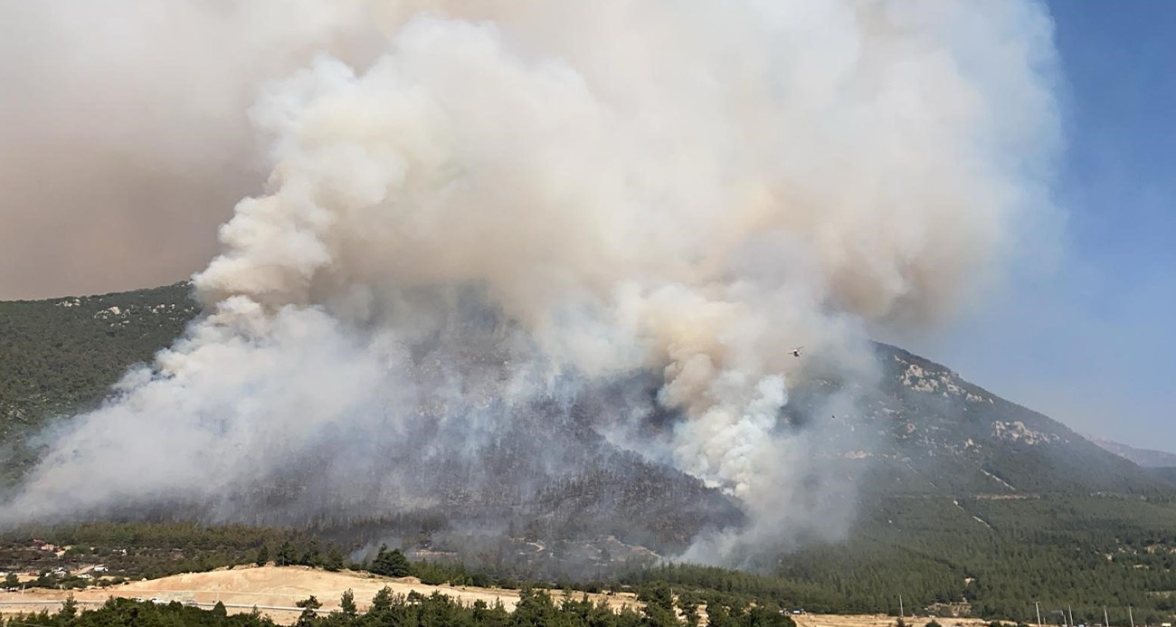 Denizli’de orman yangını!