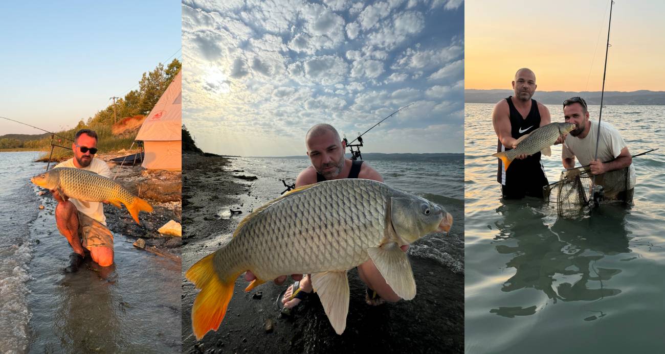 Sapanca Gölü’nde 13 kilo sazan yakaladı: Öpüp suya geri saldı