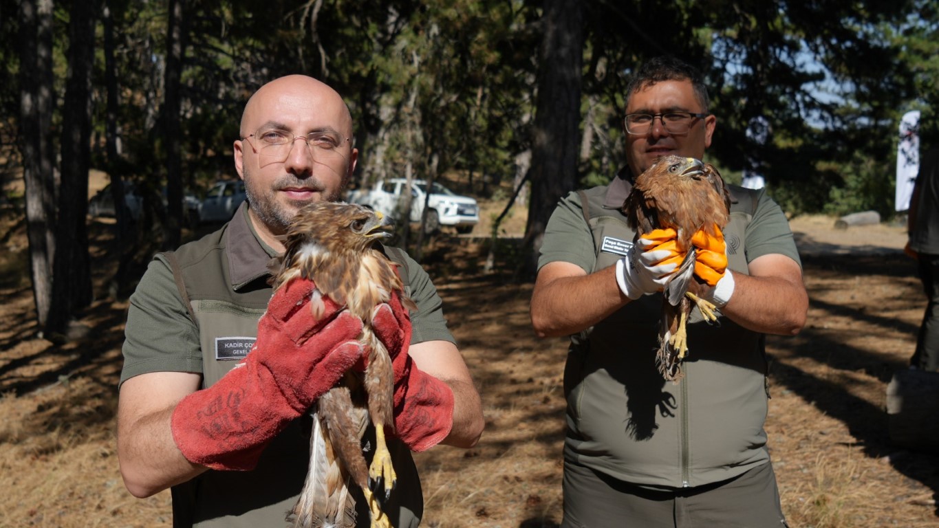 Doğaya kavuşan canlar: DKMP 76 bin yaban hayvanını doğaya kazandırdı