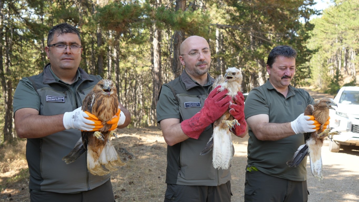 Doğaya kavuşan canlar: DKMP 76 bin yaban hayvanını doğaya kazandırdı