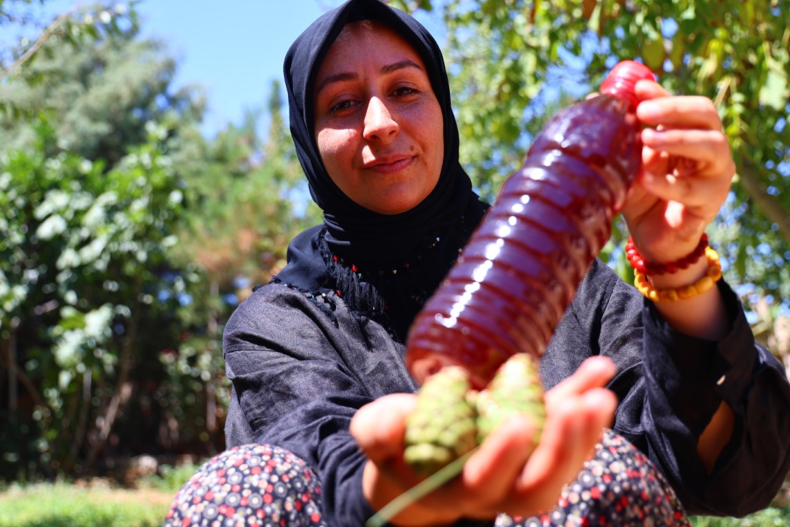 Sigara içenlere doğal çözüm: 7 saat kazanda pişirilen kozalak şurubu