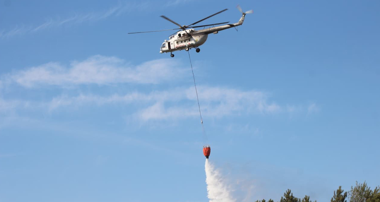 Sakarya’daki orman yangını kontrol altına alındı