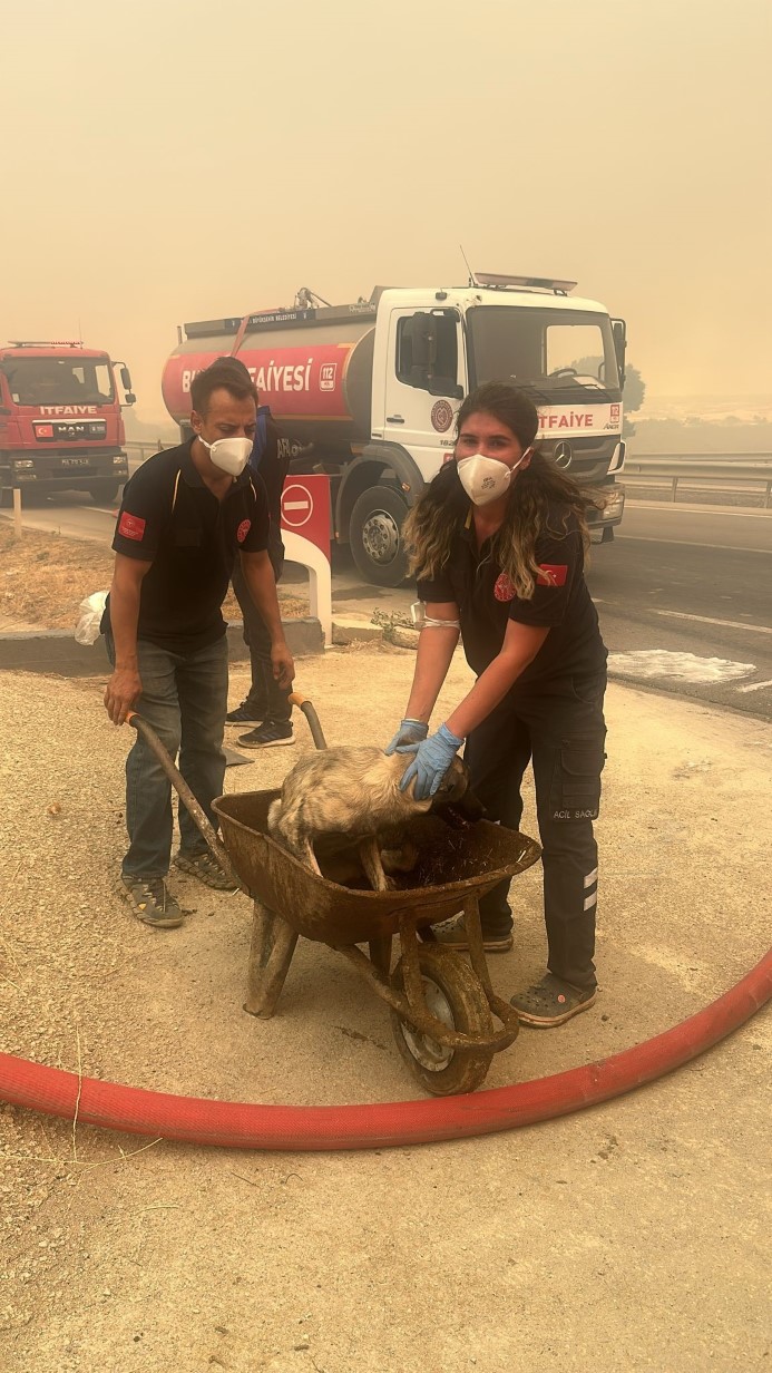 Bursa'da yangın alarmı: 718 personel müdahale ediyor