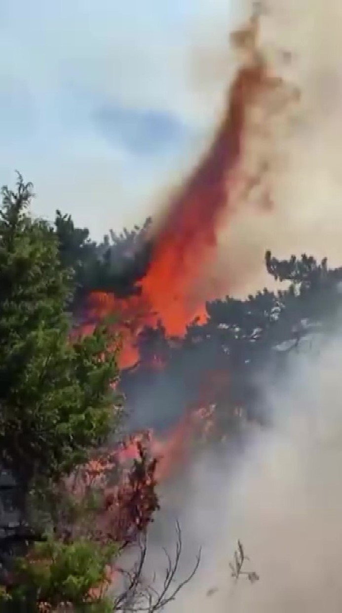 Amasya’da orman yangını