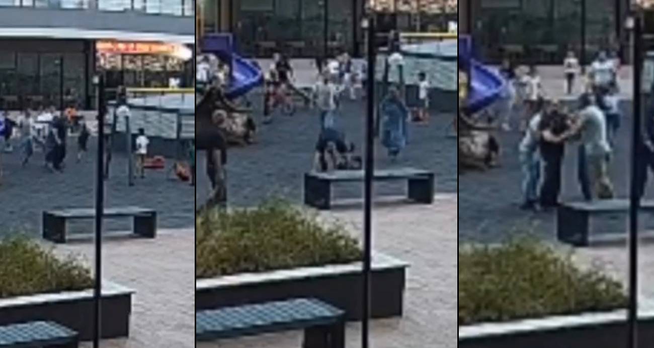 Parkta oynayan çocukları yerden yere vurdu