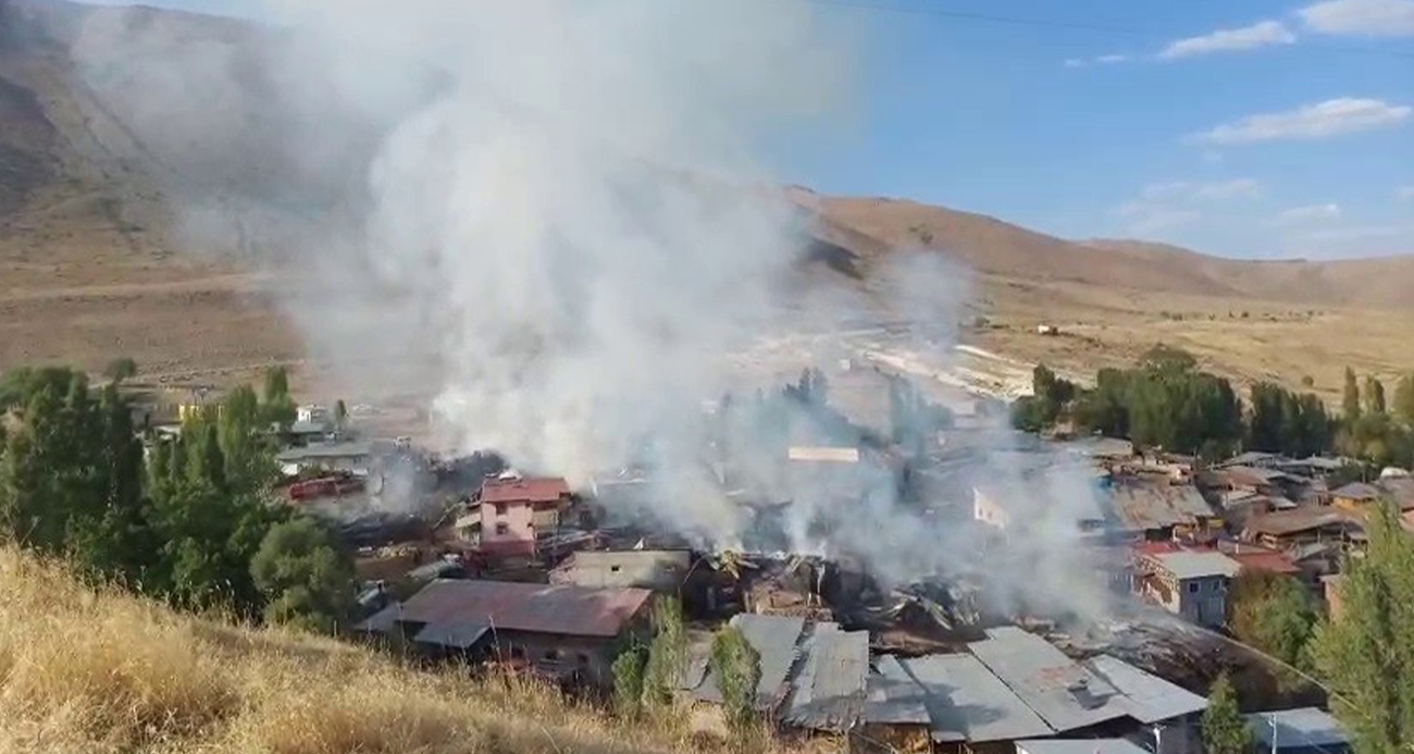 Çok sayıda hayvan telef oldu!