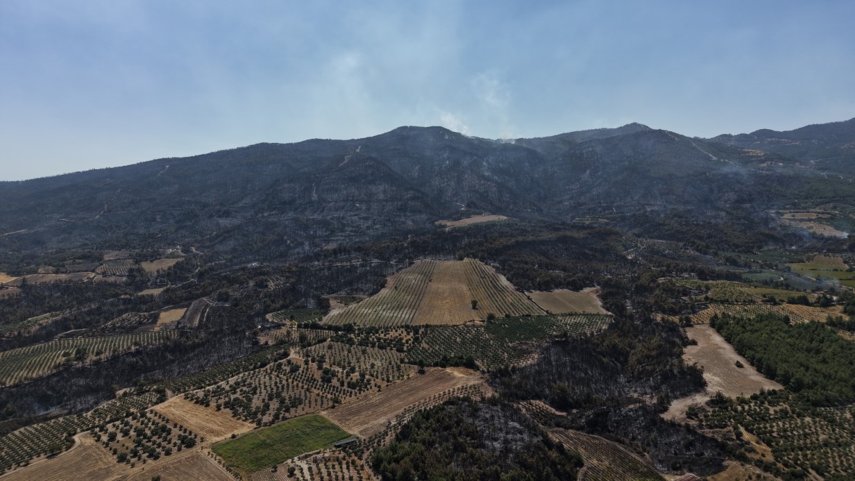 Buldan yangınında felaketin boyutu havadan görüntülendi