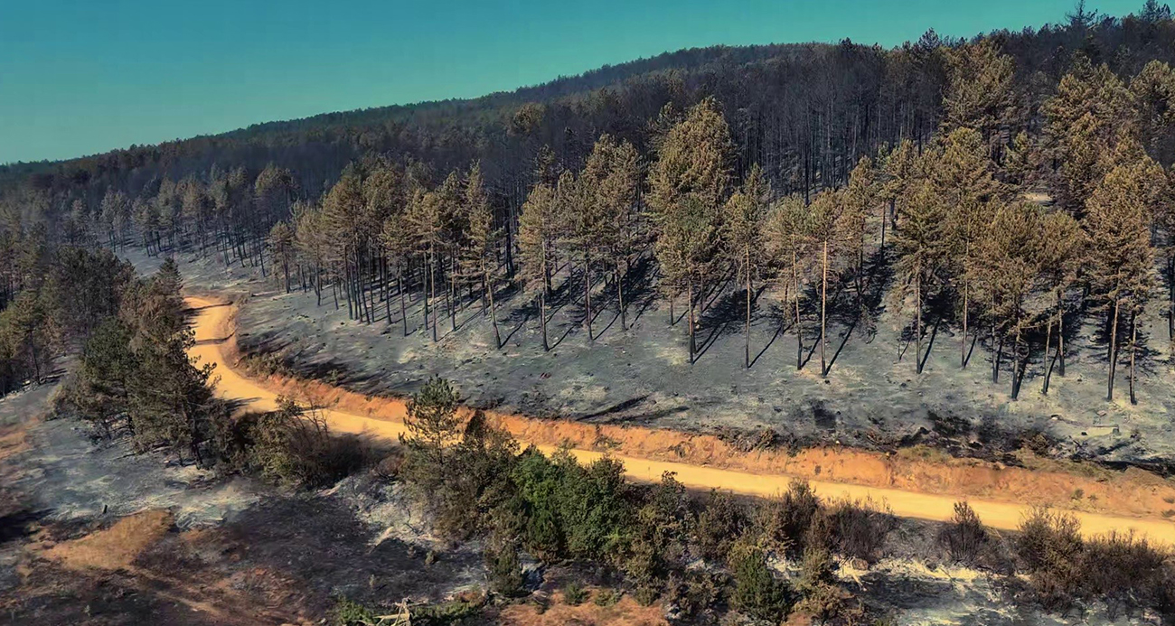 Karabük’teki orman yangınında geriye acı manzara kaldı