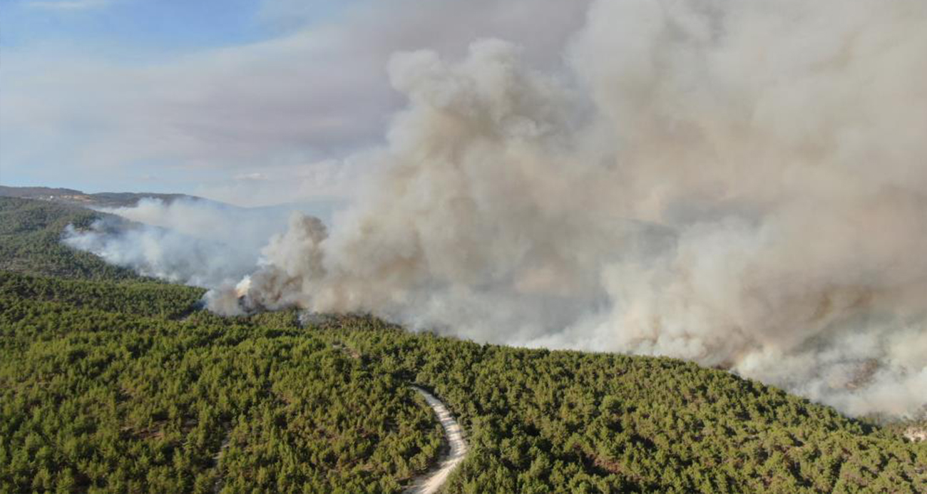 Kastamonu’daki orman yangını sürüyor: Kuvvetli rüzgar yangının enerjisini arttırdı
