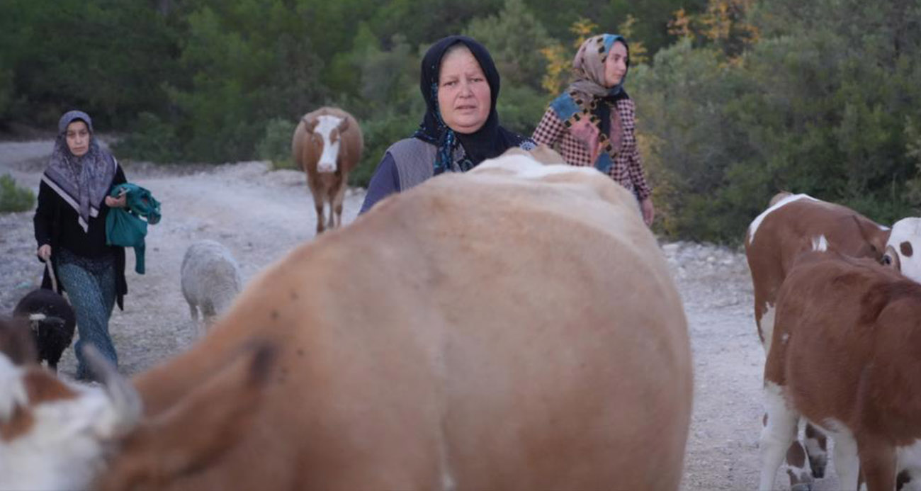Kastamonu’da orman yangını kontrol altına alındı, vatandaşlar köylerine kavuştu