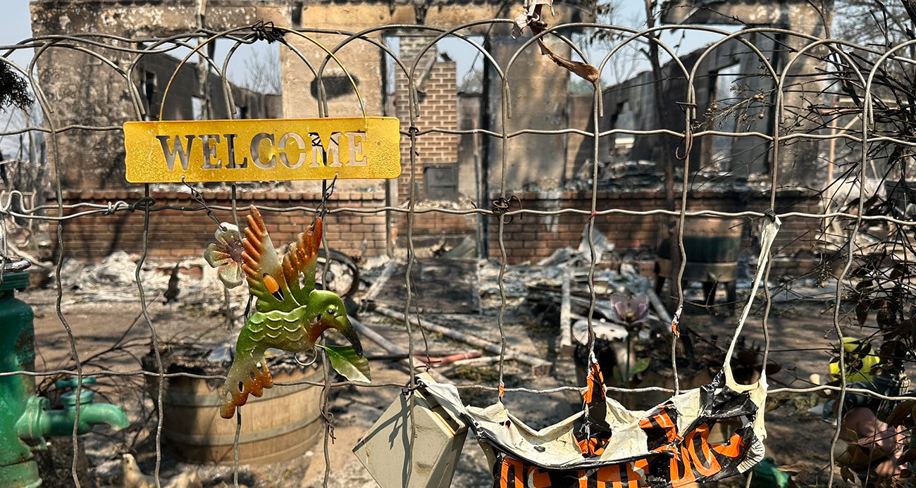 ABD’de orman yangını: 13 bin dönümlük arazi kül oldu