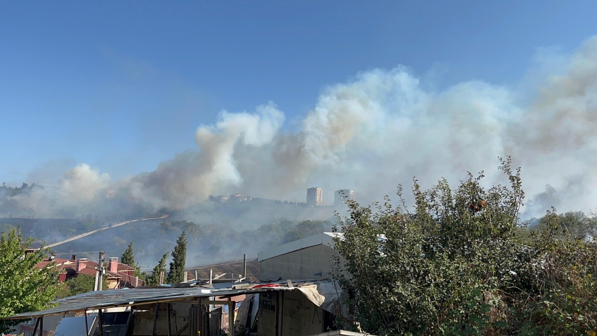 Otluk alanda çıkan yangın, fabrikaları ve villayı tehdit etti