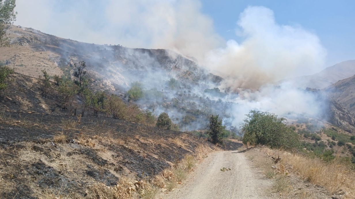 Türkiye-İran sınırında yangın: Vatandaşlar müdahale etti