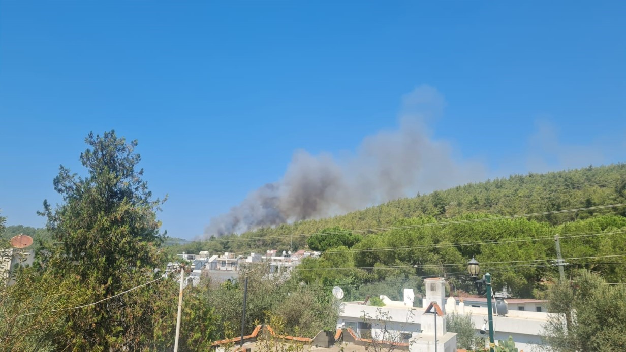 Bodrum’da orman yangını başladı
