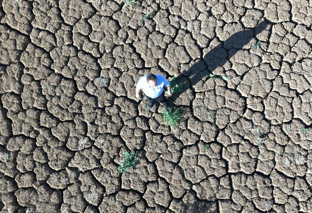 Kuruyan gölet sağanak yağışla yeniden doldu: Su seviyesi yüzde 50’yi aştı