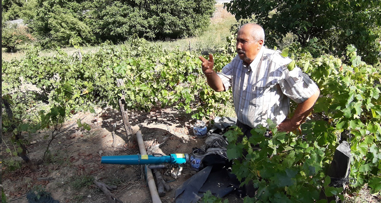Ayılar köylünün kabusu oldu