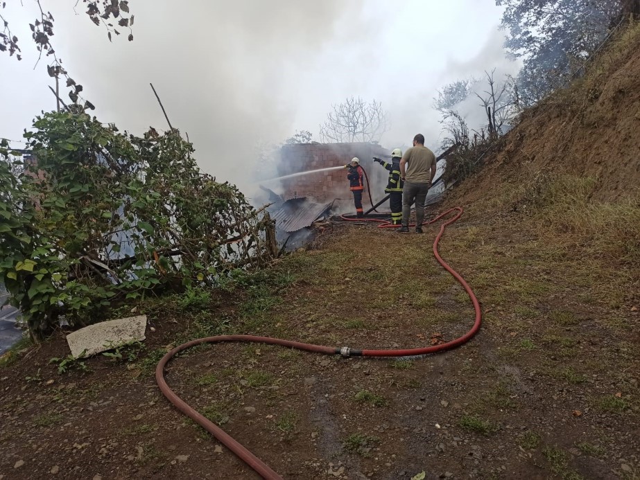 Artvin’de yangın paniği: 4 ev küle döndü