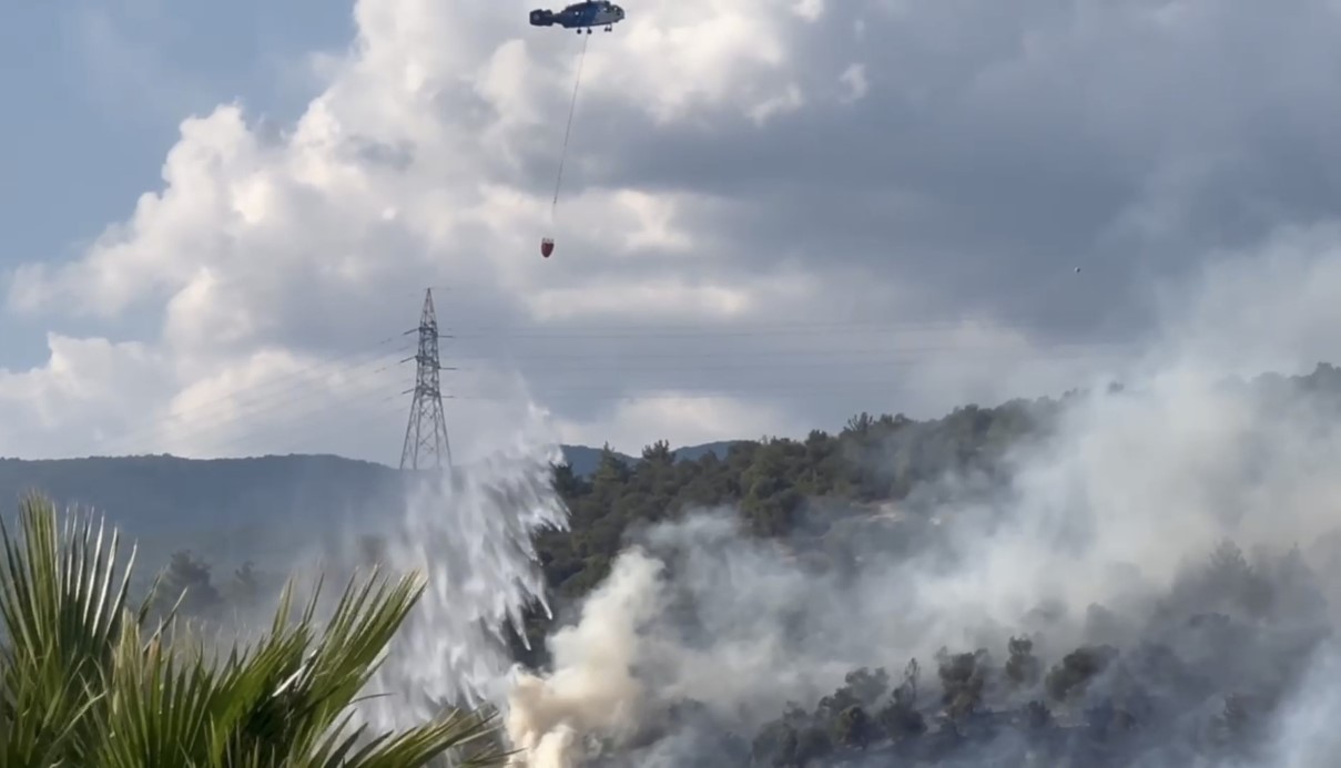 Güre’de zeytinlik yangını