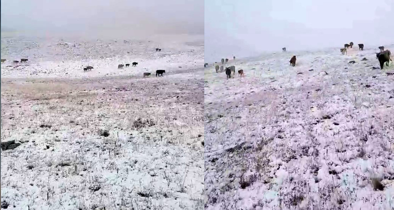 Erzurum’a mevsimin ilk karı yağdı