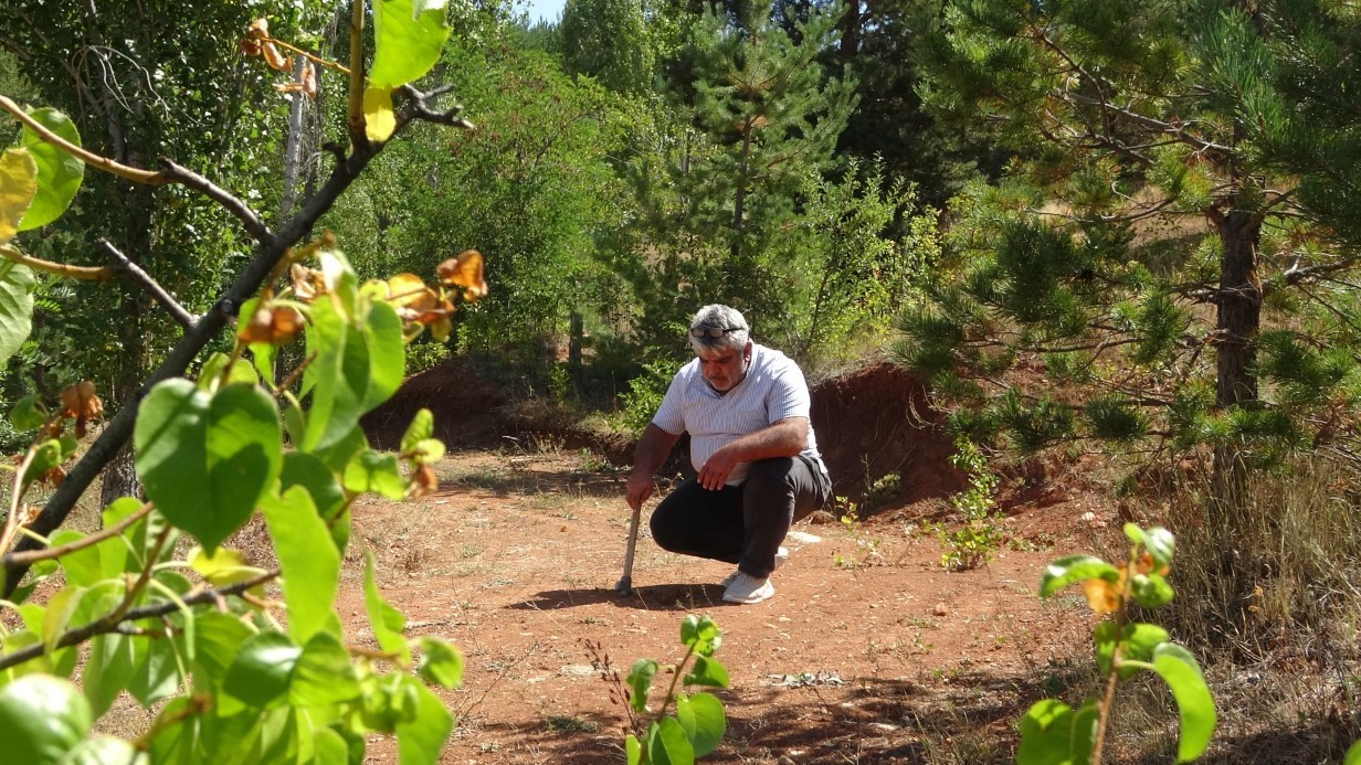 Kehribarın zorlu mesaisi