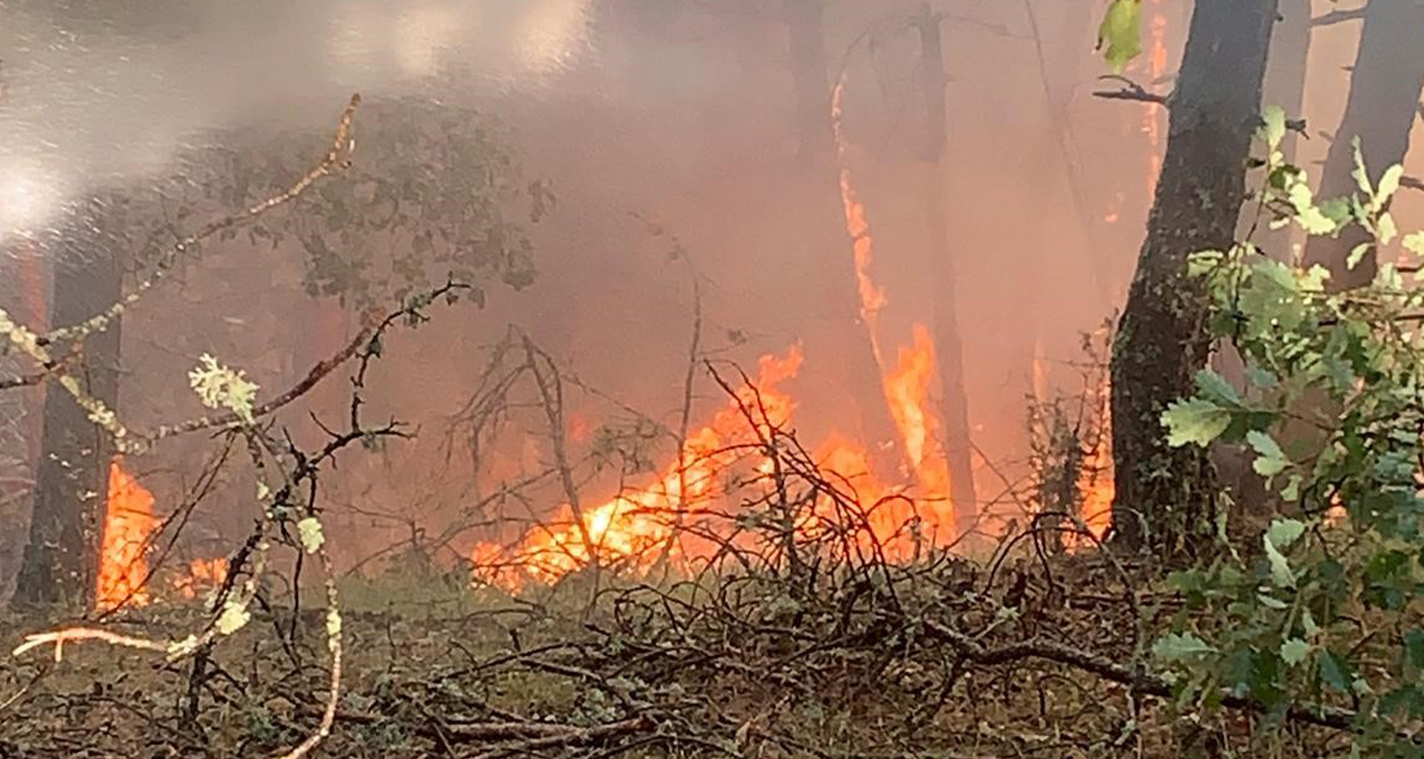 Ekipler seferber oldu!