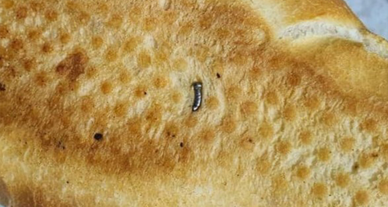 Siirt’te ekmekten çivi çıktı