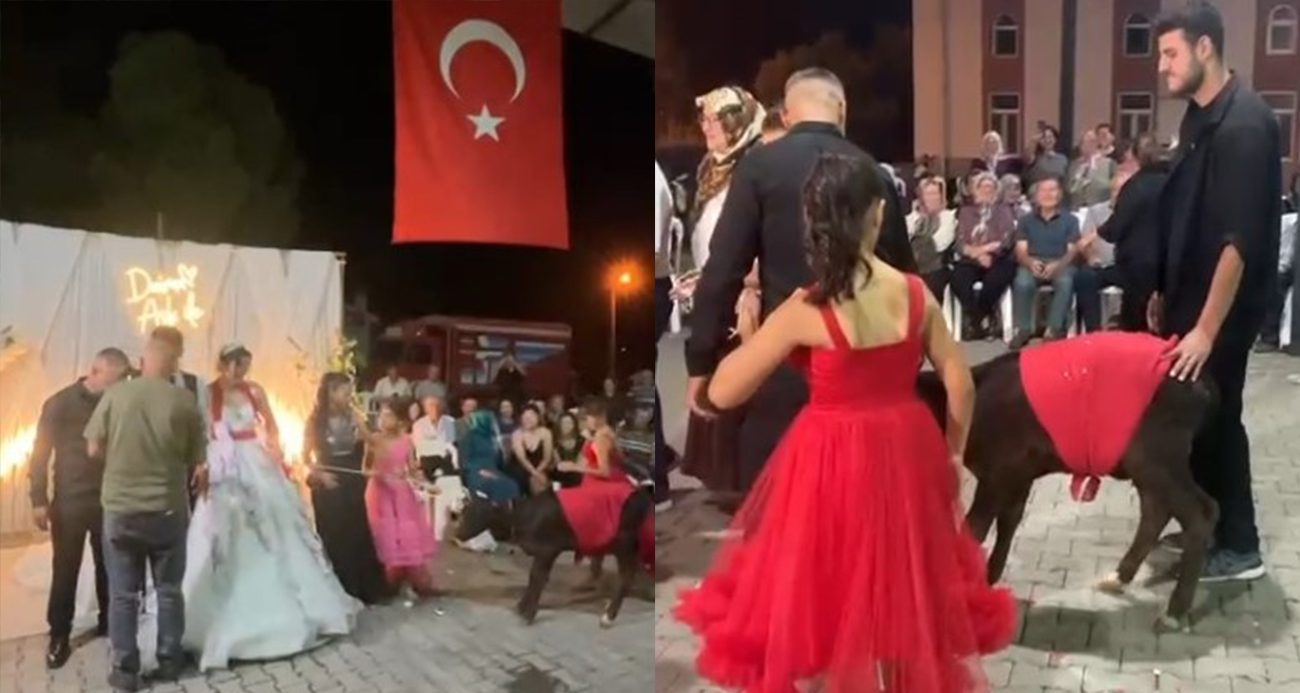 Damadın eniştesinden ilginç düğün hediyesi