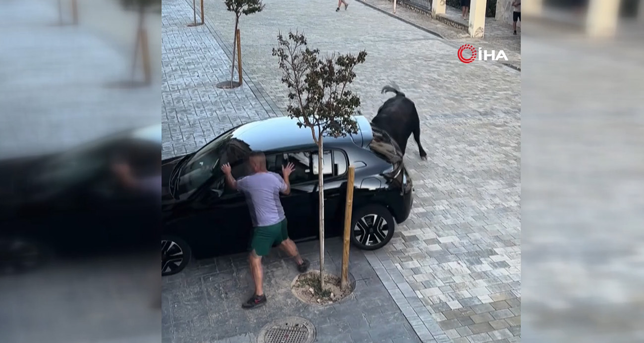 İspanya’da kızgın boğa park halindeki aracı parçaladı