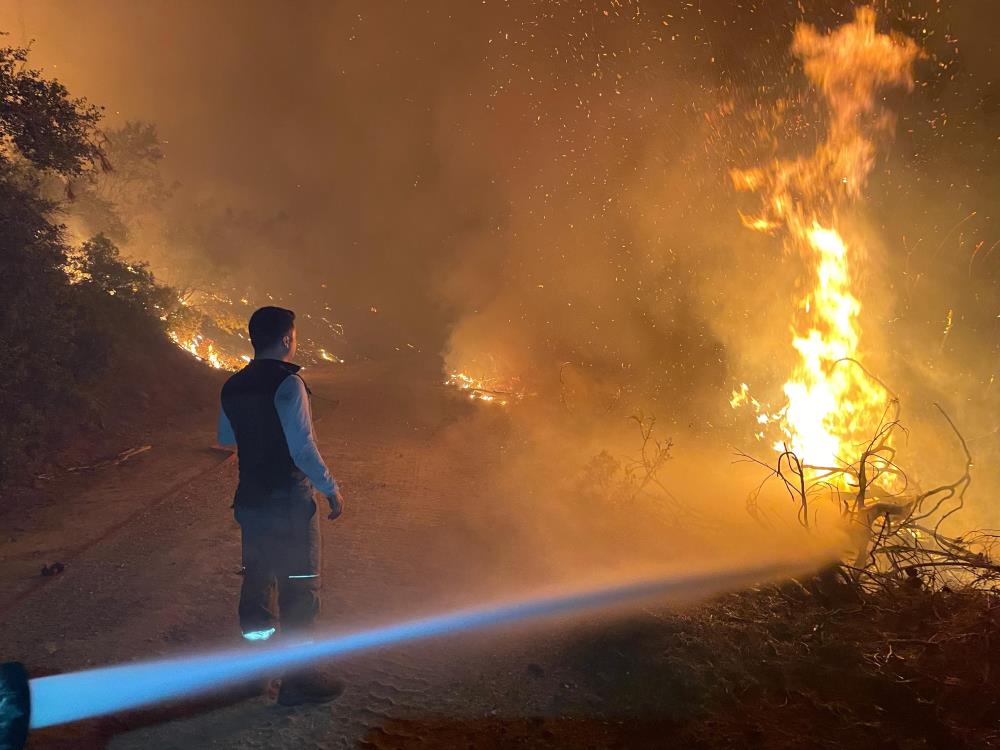 Muğla’da alevli gece: 7 ayrı orman yangınından 4’ü söndürüldü 3’ü devam ediyor