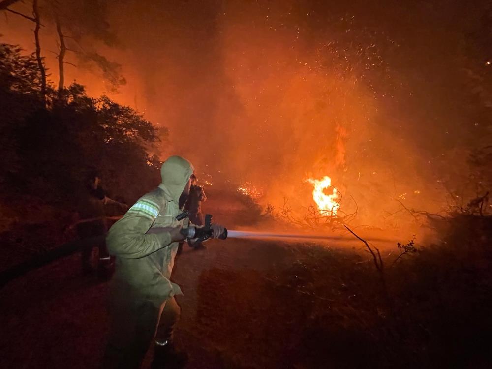 Muğla’da alevli gece: 7 ayrı orman yangınından 4’ü söndürüldü 3’ü devam ediyor