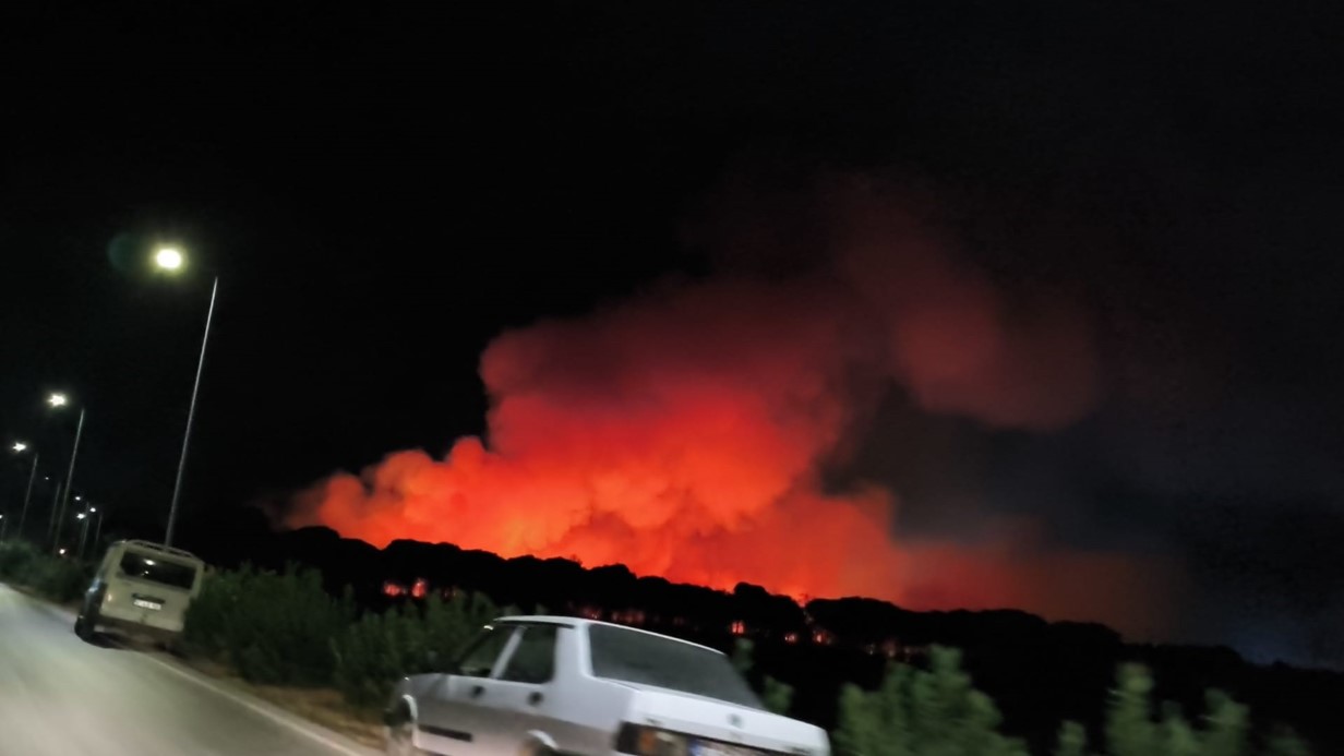 Antalya'nın Alanya ve Aksu ilçelerinde orman yangını