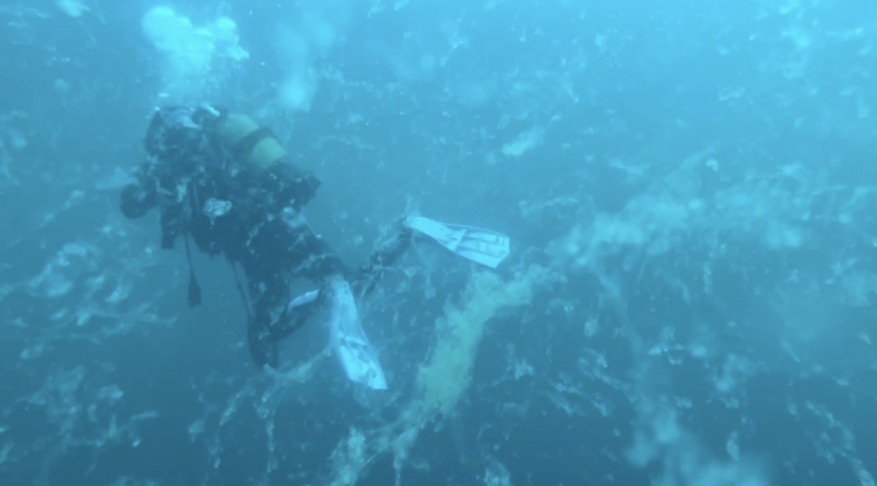 Çanakkale’de müsilaj alarmı