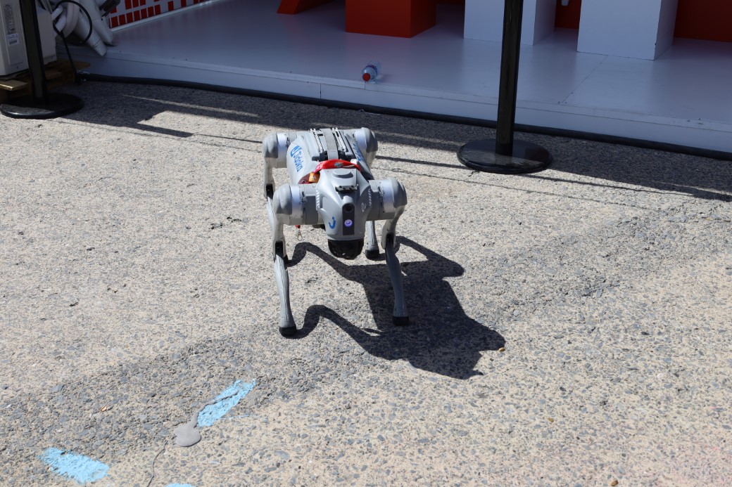 TEKNOFEST’te robot köpek ve insansı robotlar ilgi odağı oldu