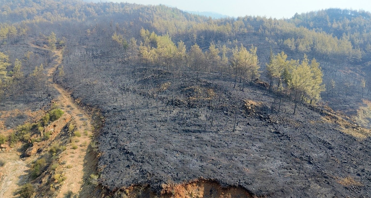 Bakan Yumaklı: "Büyük ölçüde kontrol sağlandı"