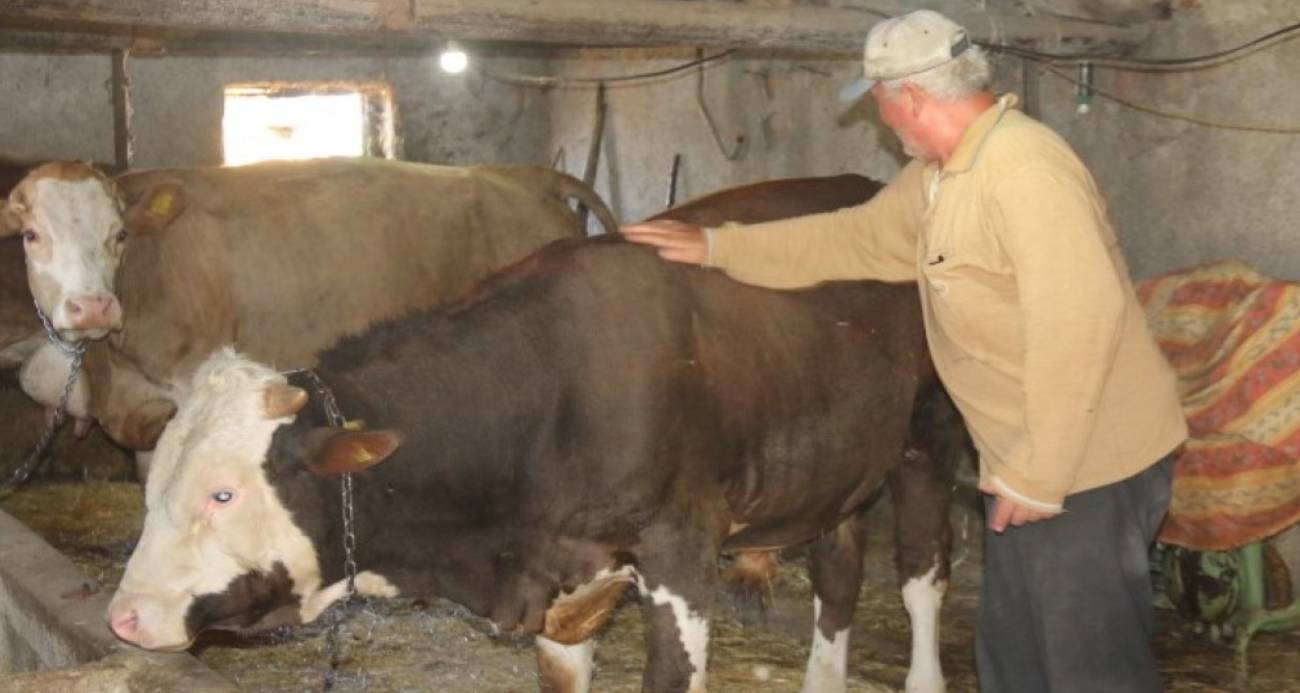 Emekli olan elektrik mühendisi huzuru köyde buldu