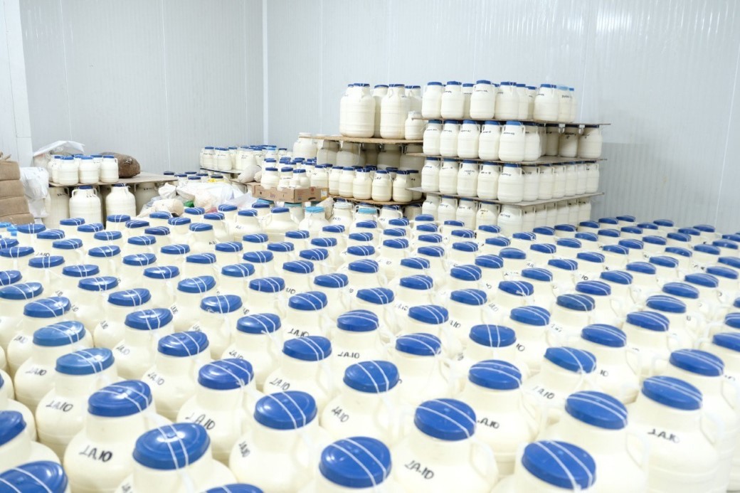 Kahvaltı sofralarına 3 bin rakımdan gelen lezzet: Erzincan Tulum Peyniri