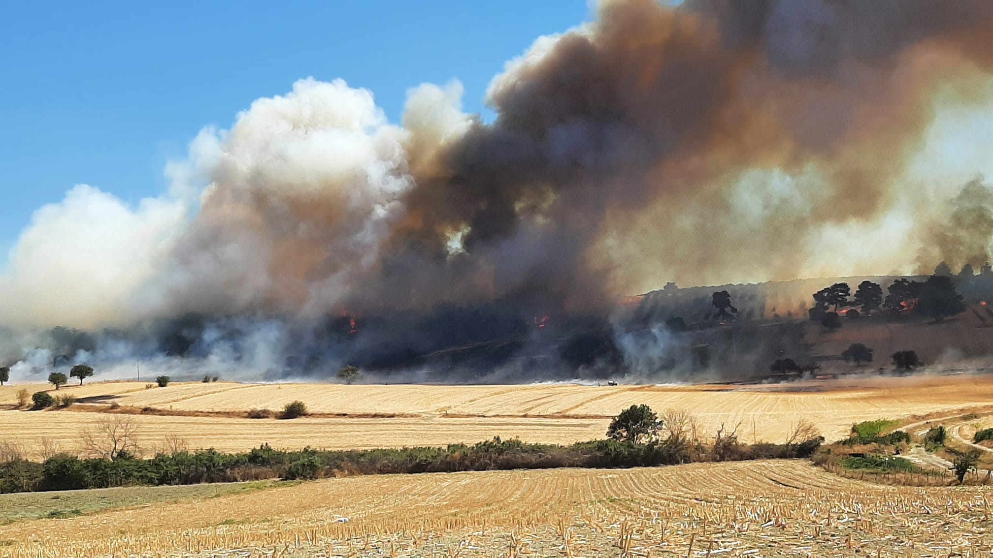 Zeytinlikte başladı, ormana sıçradı: Çanakkale’de yanıyor!