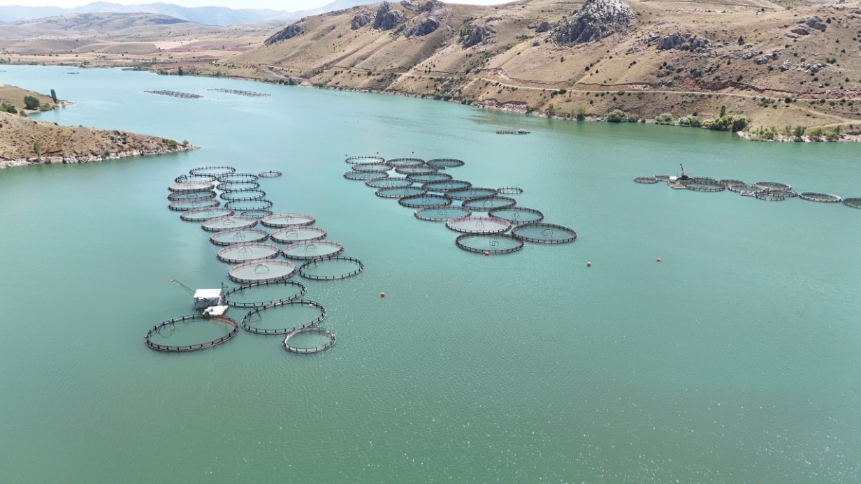 Tatlı sudan tuzlu suya daldık, AB’de lider olduk