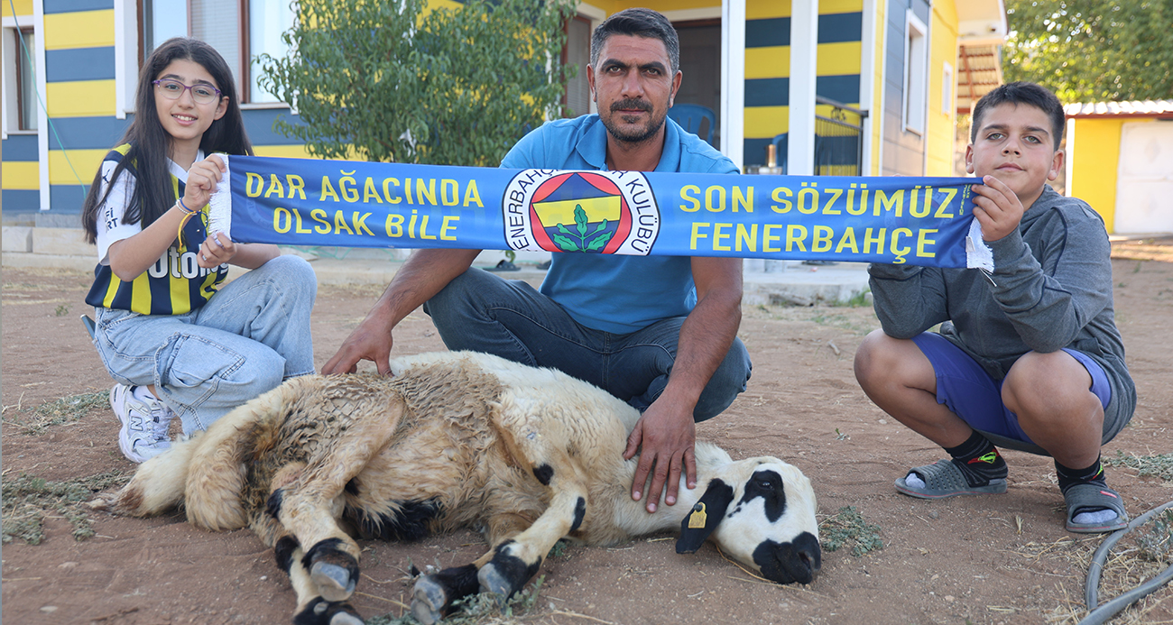 Fenerbahçe’nin makus tarihi değişsin diye, adadıkları hayvanı kestiler