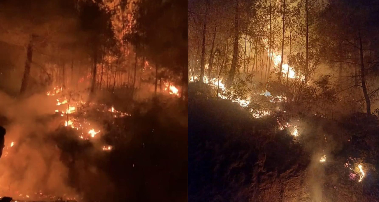 Gazipaşa’da ormanlık alanda çıkan yangın kontrol altına alındı