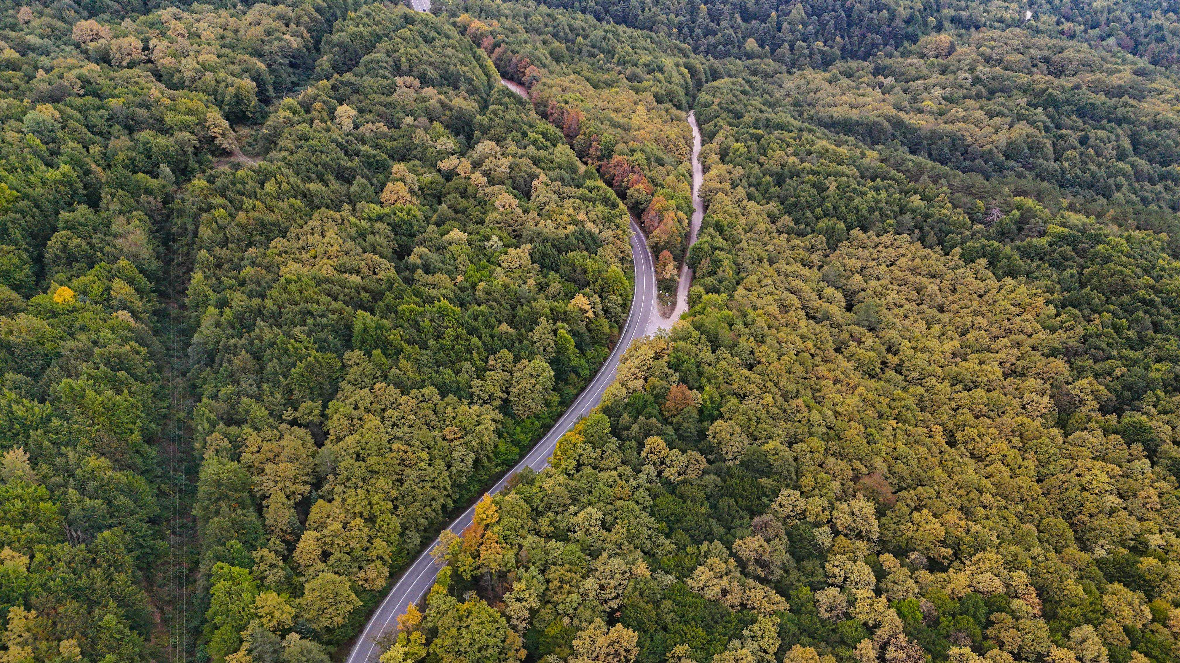 Bolu-Seben yolunda muhteşem sonbahar güzelliği