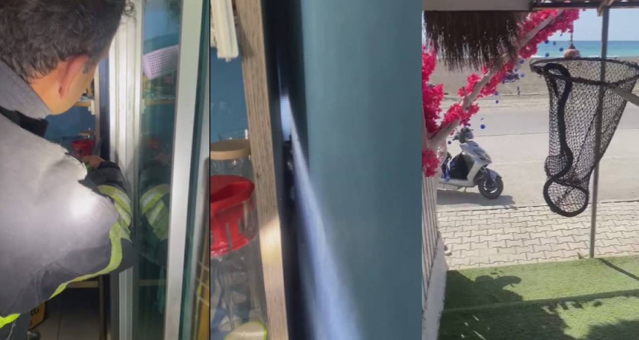 Marketin soğutma dolabına giren yılanı, itfaiye yakaladı