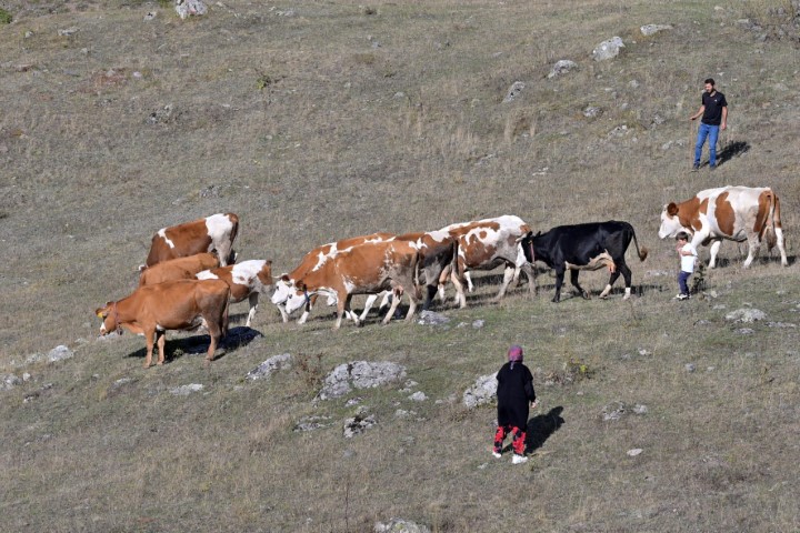 Gümüşhane’de genç muhtarın Türkiye’ye ilham veren başarı hikayesi
